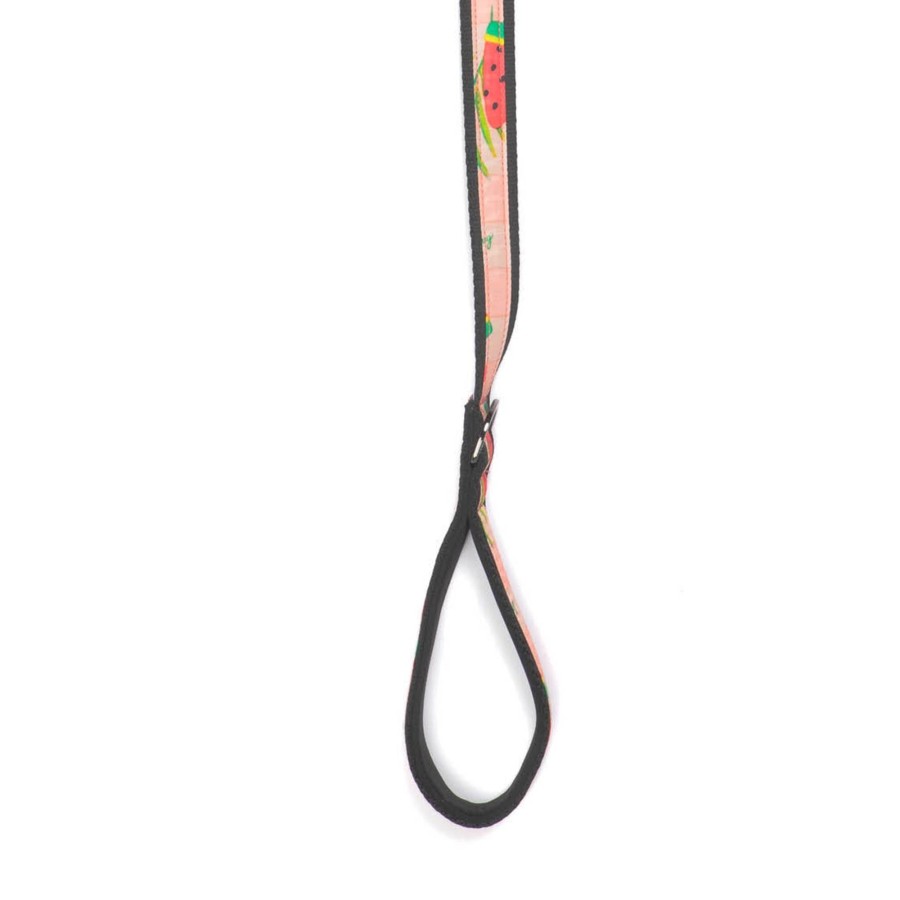 Accessories Lug | Fetch Pet Collar And Leash Set